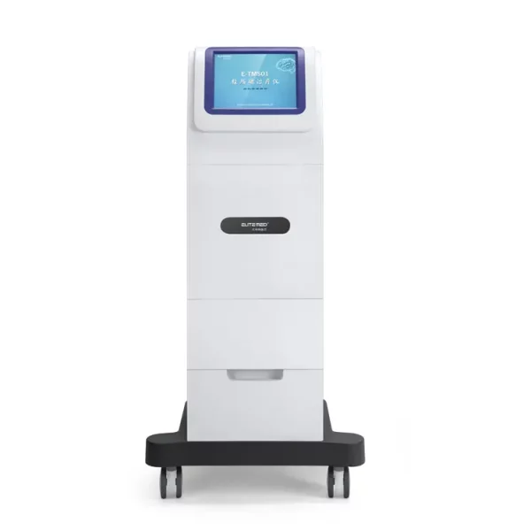 Rehabilitation Transcranial magnetic stimulation
