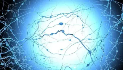 Transcranial Magnetic Therapy