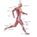 treat and manage various conditions