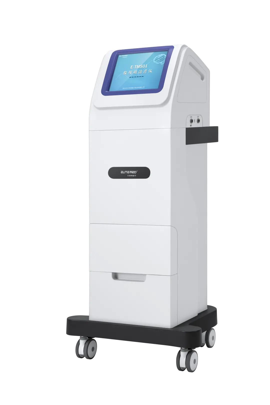 Transcranial Magnetic Stimulation,TMS